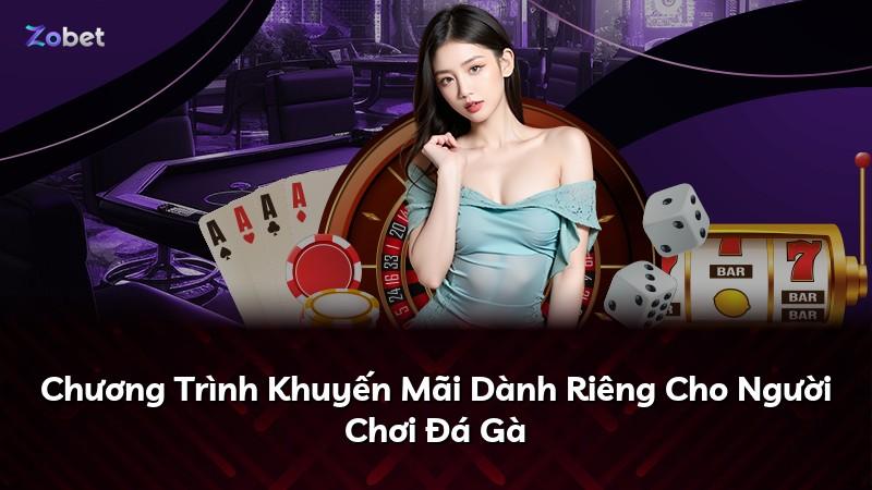 Chương Trình Khuyến Mãi Dành Riêng Cho Người Chơi Đá Gà