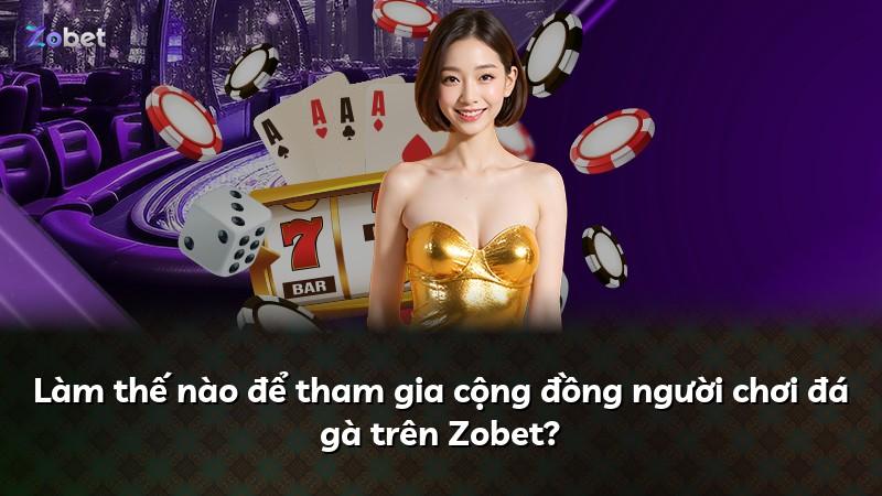 Làm thế nào để tham gia cộng đồng người chơi đá gà trên Zobet?