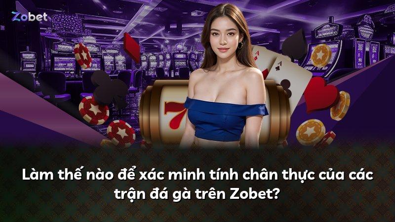Làm thế nào để xác minh tính chân thực của các trận đá gà trên Zobet?