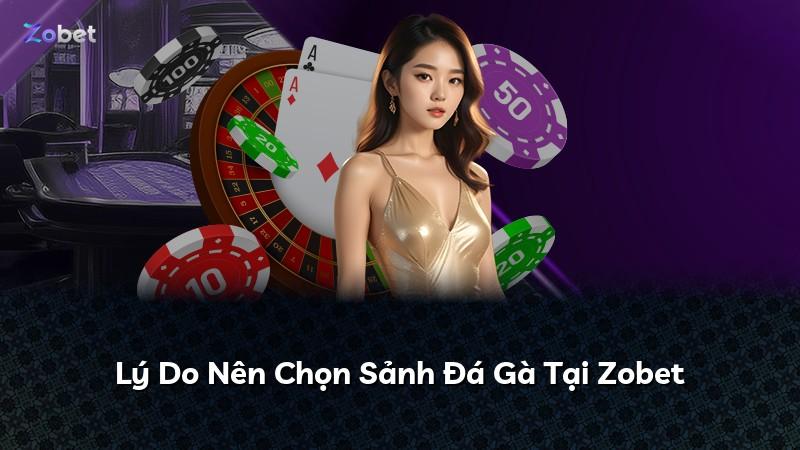 Lý Do Nên Chọn Sảnh Đá Gà Tại Zobet