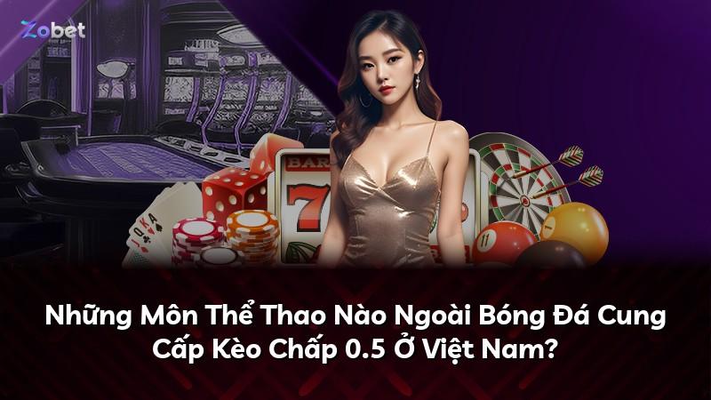 Những Môn Thể Thao Nào Ngoài Bóng Đá Cung Cấp Kèo Chấp 0.5 Ở Việt Nam?