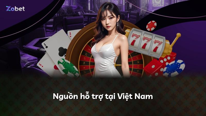 Nguồn hỗ trợ tại Việt Nam